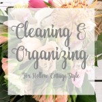 Favorite Cleaning Tips and Organizing Projects