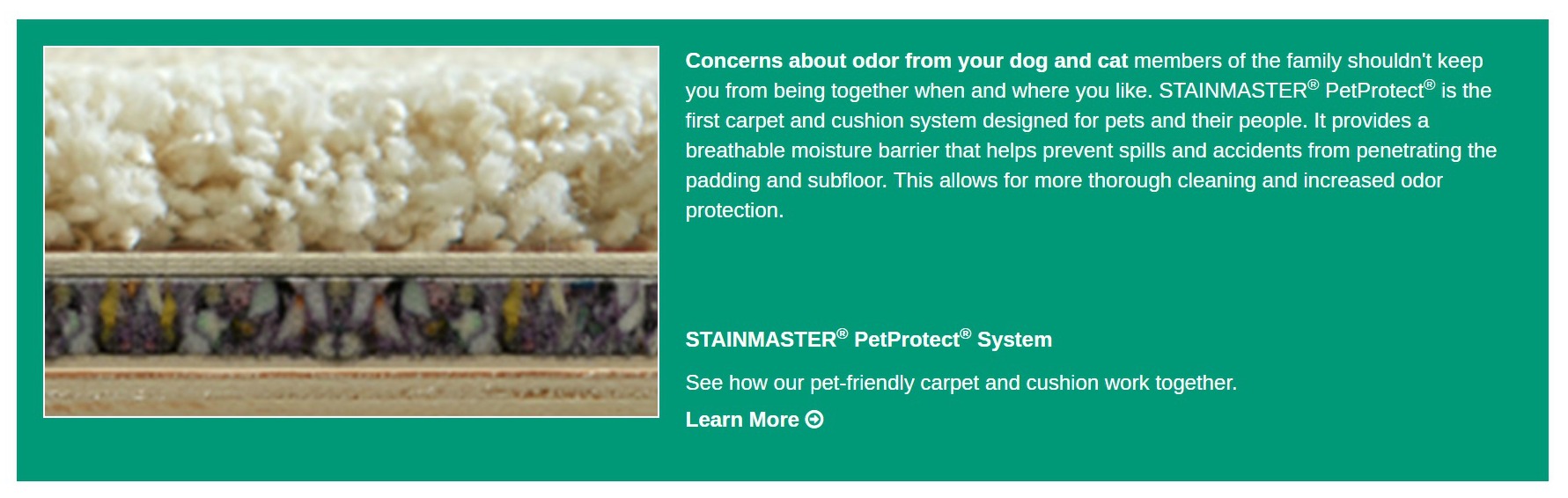 Flooring America Stainmater PetProtect Carpet Information and Sale - sponsored pin