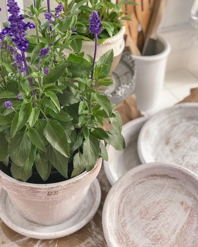 Beautiful Aged Terracotta Pot Paint Makeover - how to chalk paint planters and pots for a french cottage farmhouse look